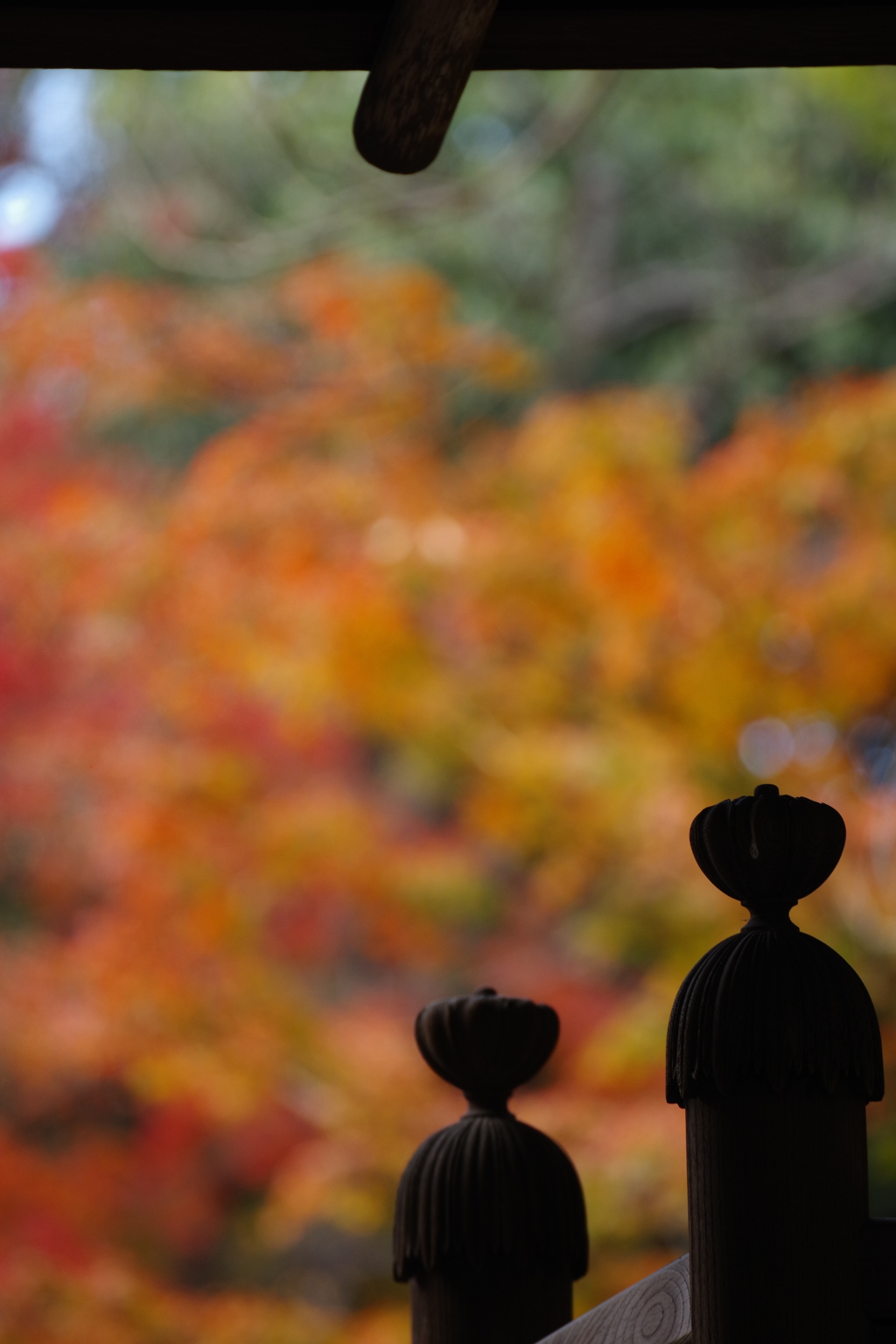 紅葉