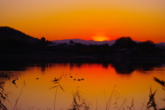 朝焼け　広沢池