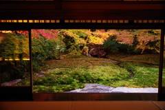 紅葉