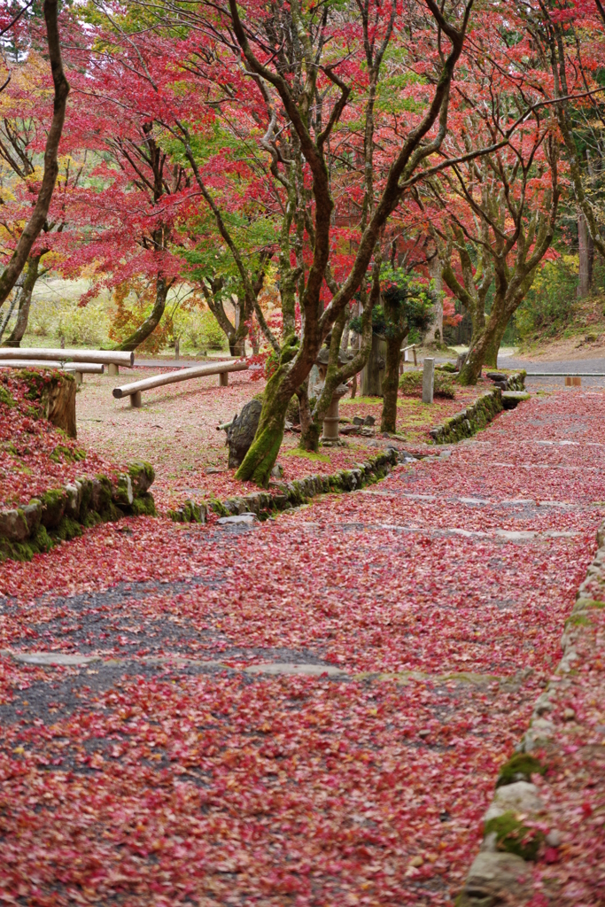 鶏足寺②