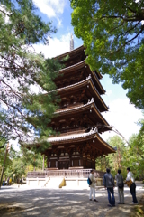 京都⑤　仁和寺