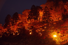 紅葉　香嵐渓