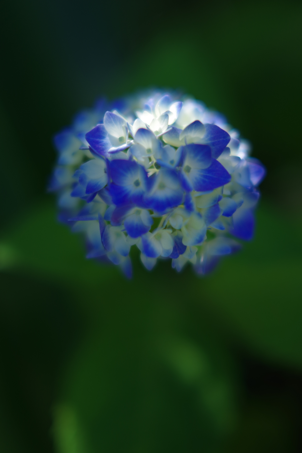 IMGP8819