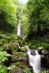 養老の滝