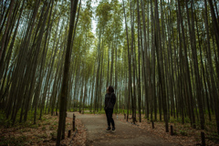 京都旅行