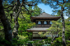 京都旅行