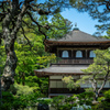 京都旅行