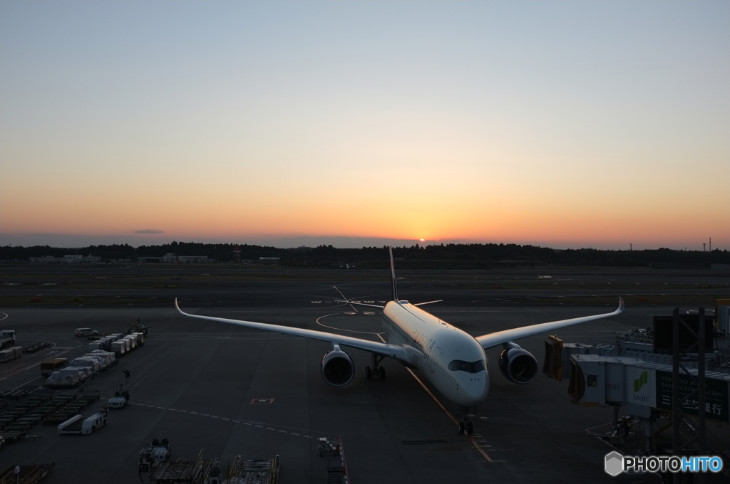 成田空港の夕
