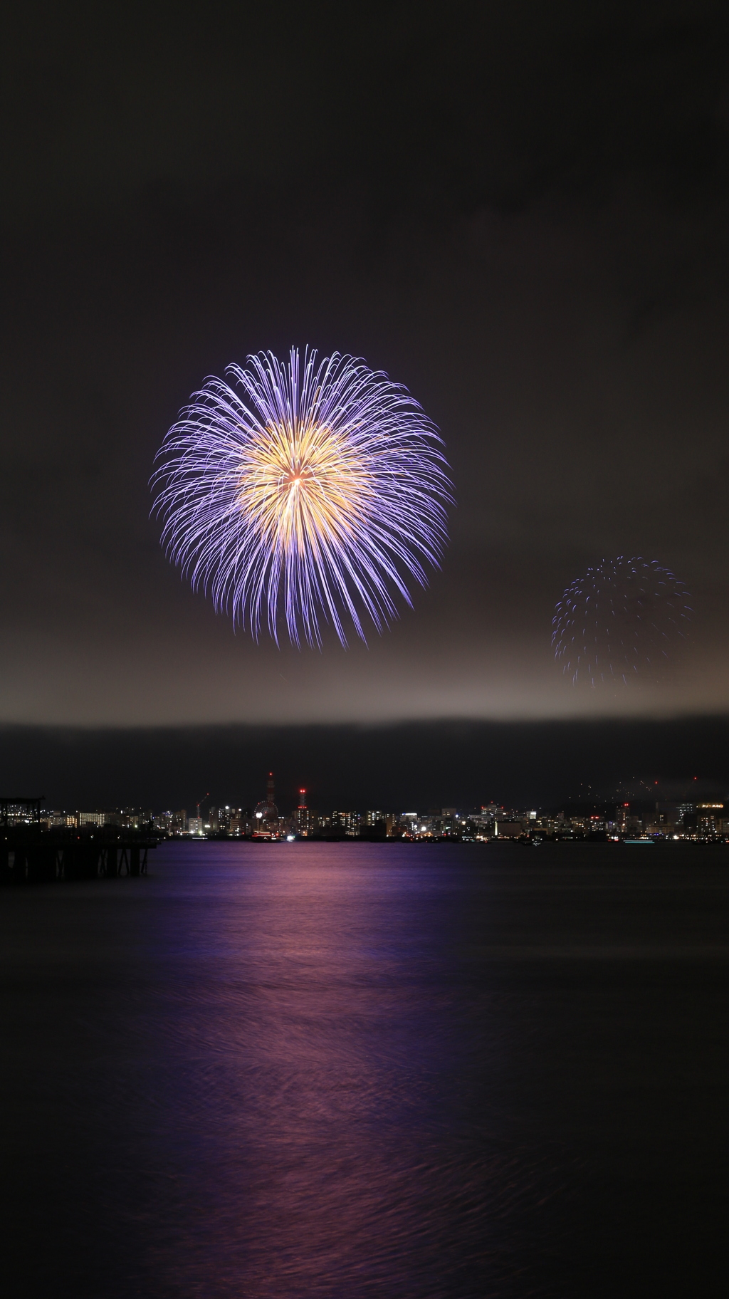 夏夜の紫陽花