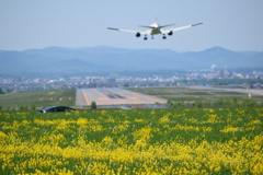旭川空港