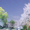 夜桜と星グルグル