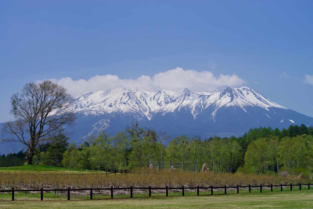 御嶽山