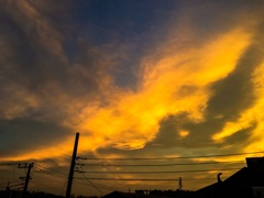 夕焼け2