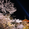 清水寺 桜3