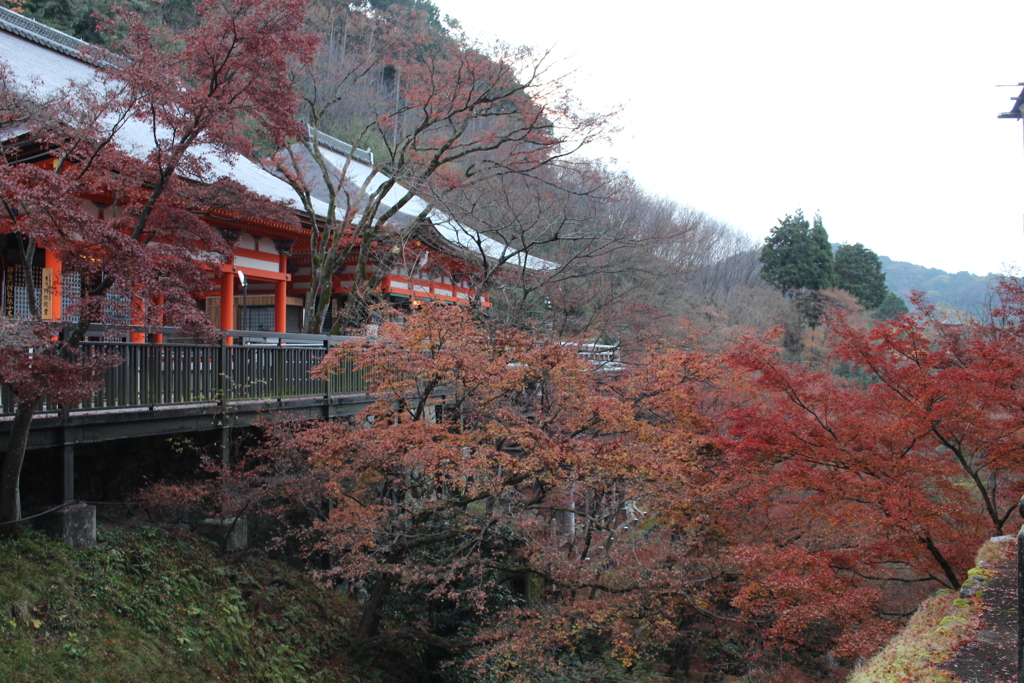 清水寺2