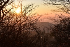 筑波山の朝陽