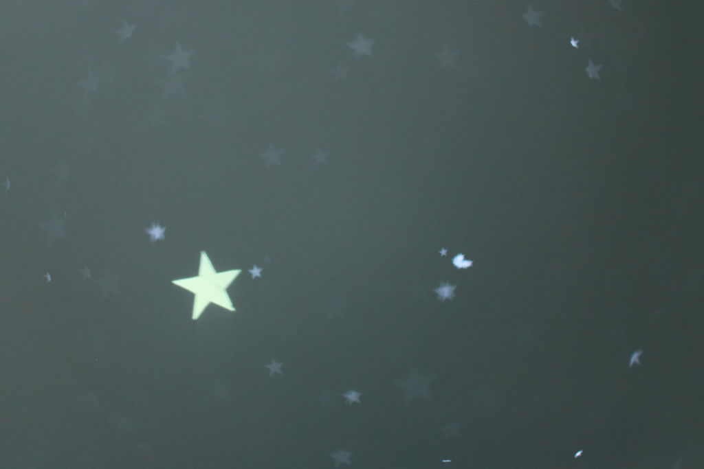 星降る夜