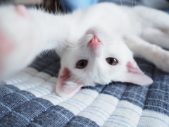 遊ぼうよ