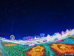東京ドイツ村(๑˃̵ᴗ˂̵)