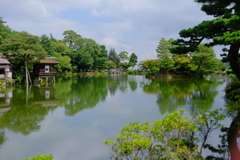 DSCF6579
