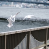 D1428391-CB2E-4EBC-B429-A659F30042ED