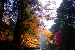 DSCF0524