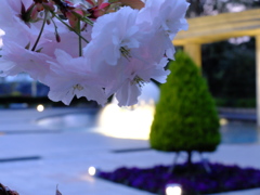 DSCF0973