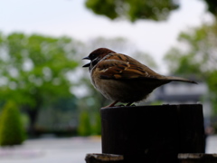 DSCF0864