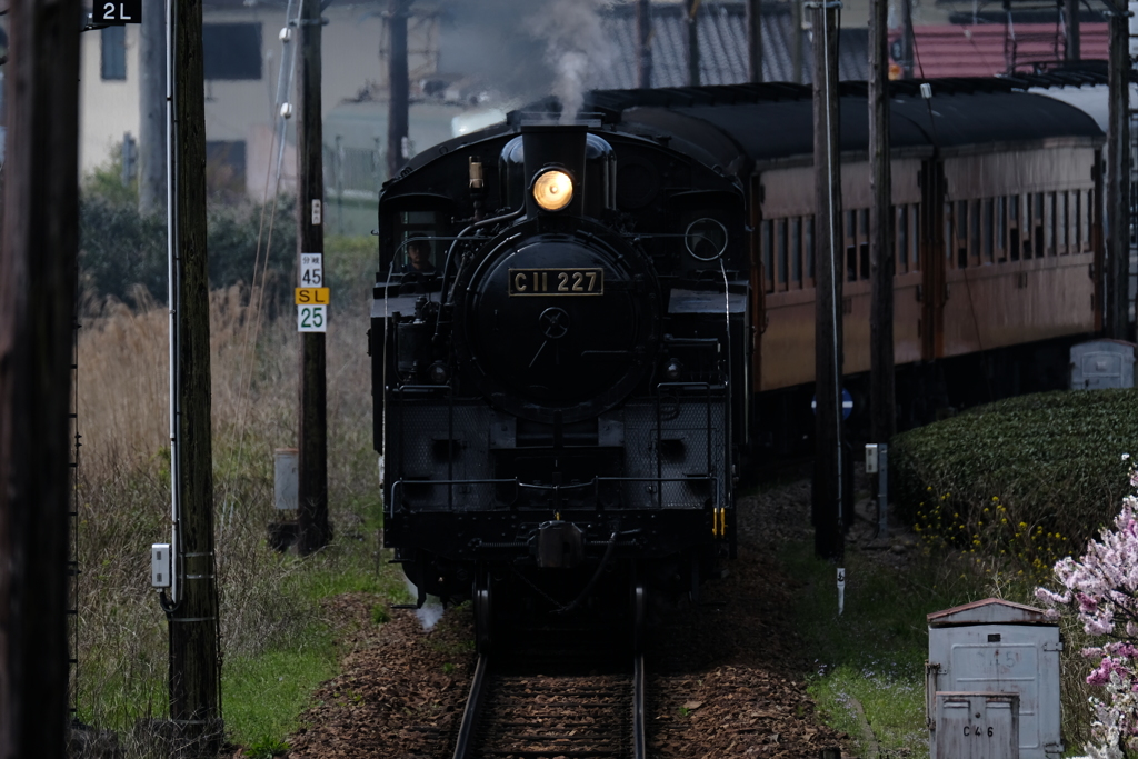 DSCF0480