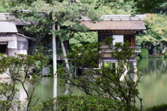 DSCF6583