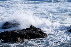 DSCF0458