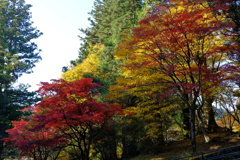 DSCF0590