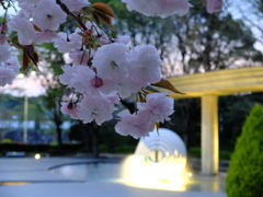 DSCF0981