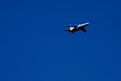 DSCF2785