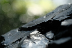 DSCF1324