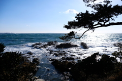 DSCF0413