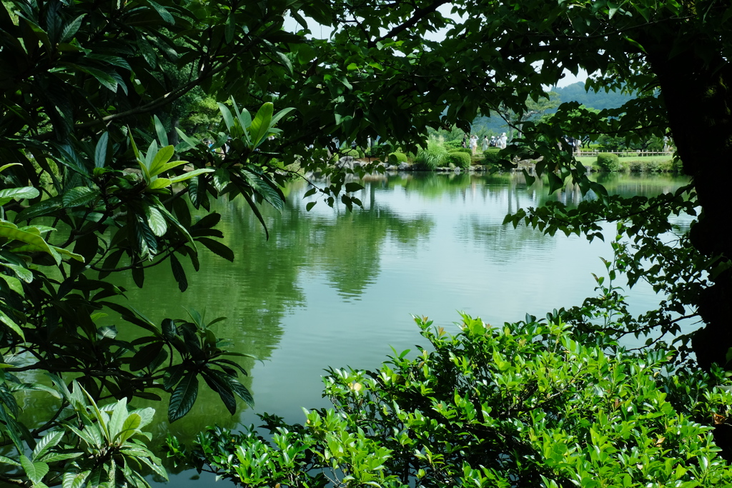 DSCF6567