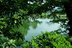 DSCF6567