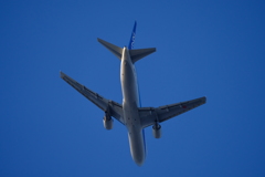 DSCF1292