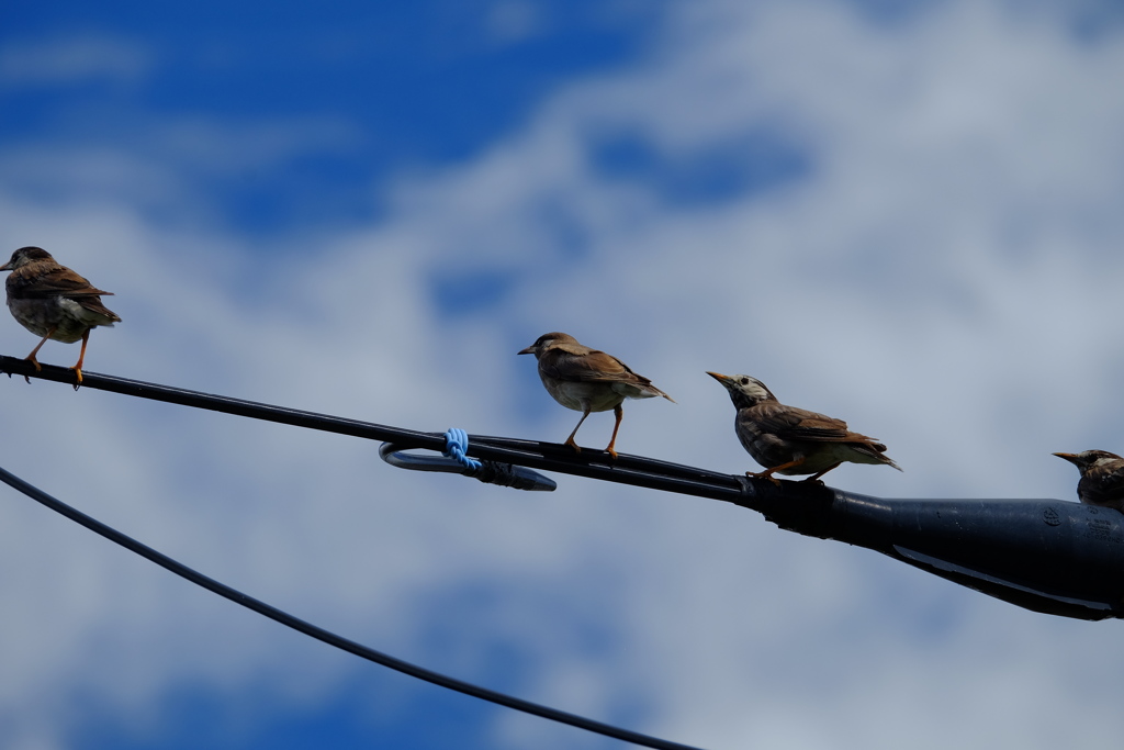DSCF5589
