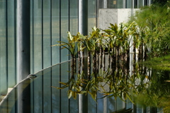 DSCF1334