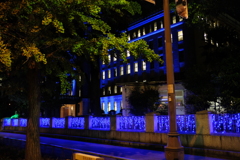 DSCF1574
