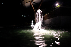 DSCF1636