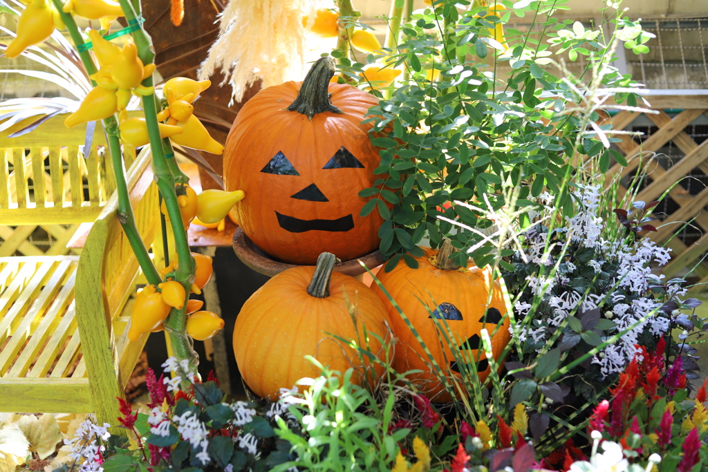 ハロウィンベンチ