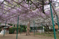 住吉神社