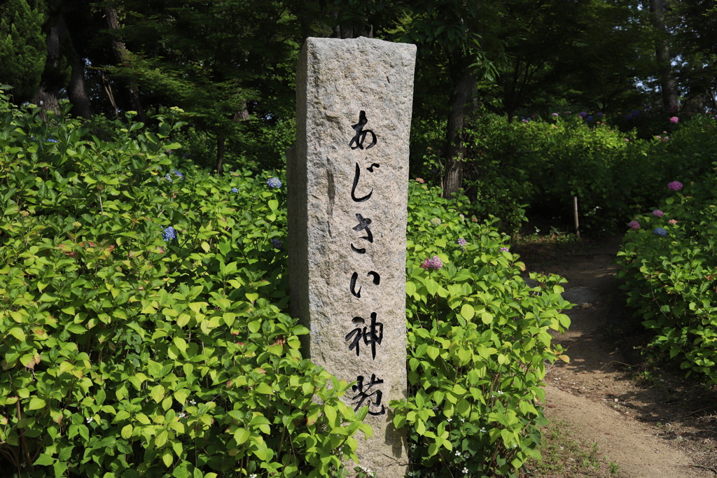 あじさい神苑
