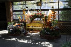 ハロウィンベンチ