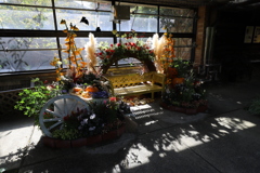 ハロウィンベンチ