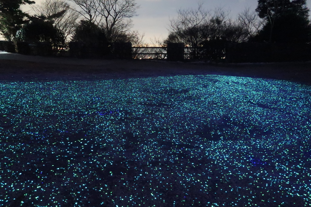 摩耶キラキラ小径