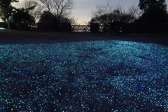 摩耶キラキラ小径